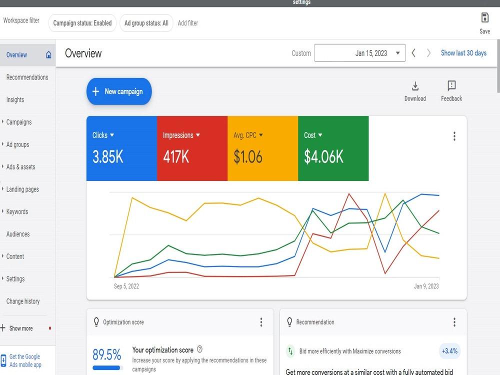 Google Ads campaign overview